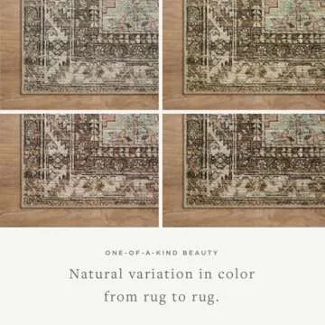 Loloi Amber Lewis Billie Collection Vintage Area Rug