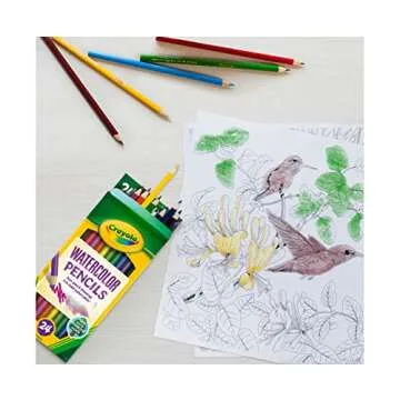 Crayola Watercolor Pencils for Kids - 24ct Set