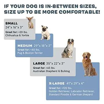 Barkbox Orthopedic Dog Bed - Cooling Memory Foam Comfort