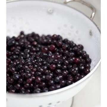Fresh Frozen Wild Blue Huckleberries by Northwest Wild Foods - Healthy Antioxidant Fruit Diet - for ...