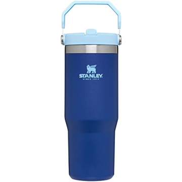 STANLEY IceFlow 30 oz Stainless Steel Tumbler - Vacuum Insulated & Leak Resistant