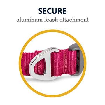 Ruffwear, Front Range Dog Collar, Durable and Comfortable Collar for Everyday Use, Hibiscus Pink, 20"-26"