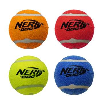 Nerf Dog 5.5in Squeak Football - Durable Pet Toy