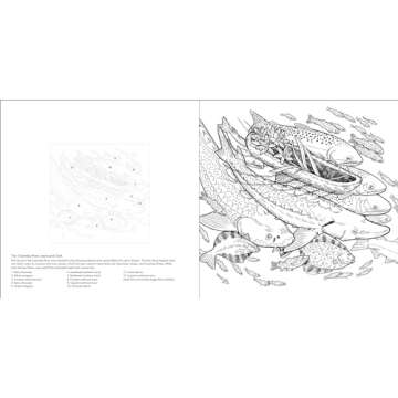 Color the Pacific Northwest: A Timber Press Coloring Book