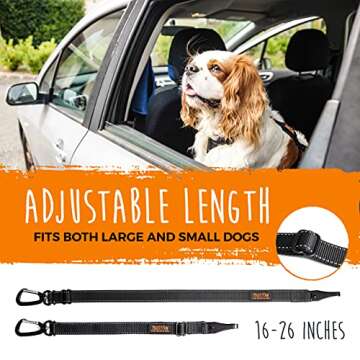 Mighty Paw Dog Seat Belt - Safe Design for All Breeds
