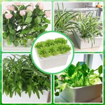 Aunifun Hydroponics Grower Kit - Easy DIY Indoor Gardening