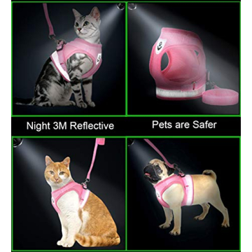 Adjustable Escape Proof Cat & Puppy Harness with Leash