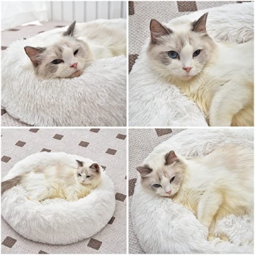 Comforting Aalklia Cat Bed - Soft, Washable & Anti-Slip