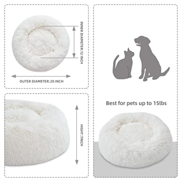 Comforting Aalklia Cat Bed - Soft, Washable & Anti-Slip