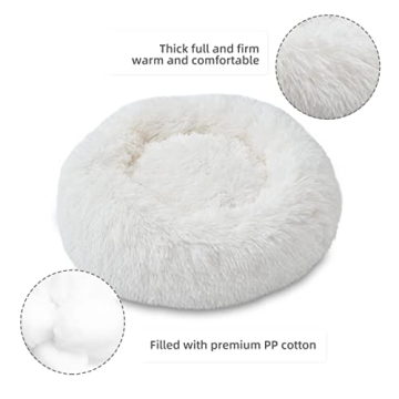 Comforting Aalklia Cat Bed - Soft, Washable & Anti-Slip