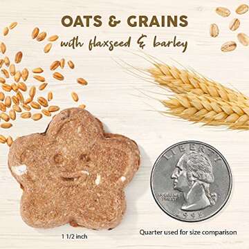 Crunchy Peanut Butter Dog Treats - Cloud Star 16 oz Box