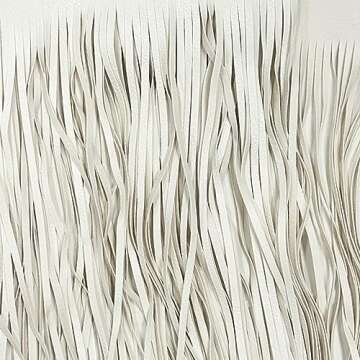 KKmeter Adjustable Fringe Tassel Skirt for Women