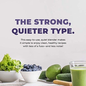 Cleanblend 3HP Blender - Powerful, Versatile & Affordable