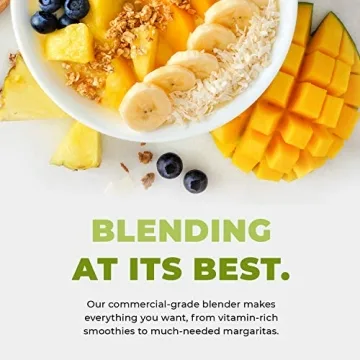 Cleanblend 3HP Blender - Powerful, Versatile & Affordable