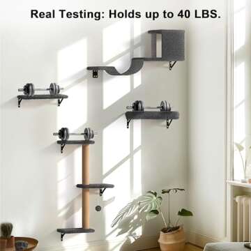 FUKUMARU Cat Wall Shelves, Stable & Safe 4 in 1 Cat Wall Furniture Set, Wooden Cat Climbing Wall with Scratching Post for 16 Inch Drywall - Gray