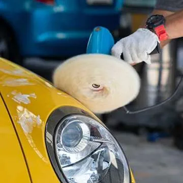 TCP Global 8" Wool Buffing Pad for Automotive Polishing