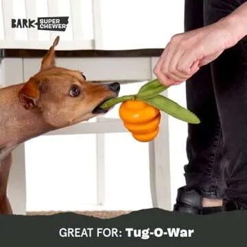Barkbox Super Chewer Tough Dog Chew Toy for Aggressive Chewers