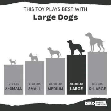 Barkbox Super Chewer Tough Dog Chew Toy for Aggressive Chewers