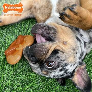 Nylabone Pretzel Power Chew Toy for Dogs, Dog Toys for Aggressive Chewers, Bacon & Peanut Butter Fla...
