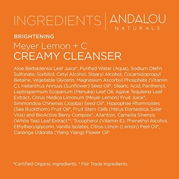Andalou Naturals Brightening Meyer Lemon + C Creamy Cleanser, Face Wash for Uplifted Tone & Smoother Texture, Helps Renew Skin Vitality & Brighten Complexion, Cruelty Free, 6 Oz
