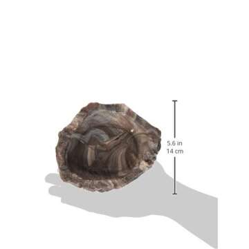 Fluker's Repta Bowl, Food and Water Bowl for Reptiles and Small Animals, Medium 6"