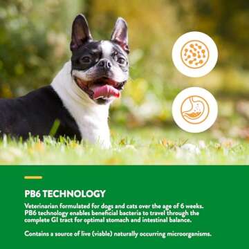 NaturVet Probiotics & Enzymes for Dogs and Cats