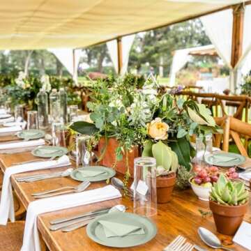 Sage Paper Plates Sage Green Paper Plates and Napkins Party Supplies Sage Green Disposable Plates for Bridal Shower,Baby Shower, Birthday,Serves 50 …