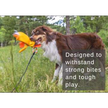 LUCOLOVE Flirt Pole for Dogs Heavy Duty - Multi-Sensory Tough Chase Toy for Medium & Large Breeds – Extra Strong 39" Dog Teaser Wand for Backyard Play, Training and Interactive Fun (Duck)