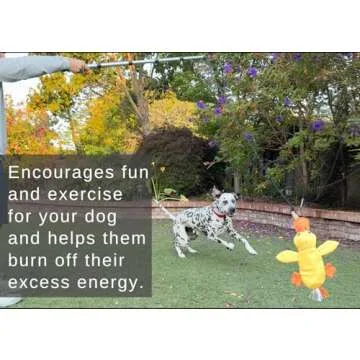 LUCOLOVE Flirt Pole for Dogs Heavy Duty - Multi-Sensory Tough Chase Toy for Medium & Large Breeds – Extra Strong 39" Dog Teaser Wand for Backyard Play, Training and Interactive Fun (Duck)