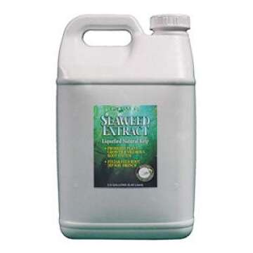 Grow More 6057 Seaweed Extract 11%, 2.5 Gallons