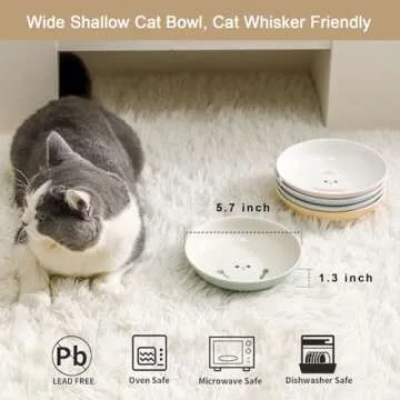 Seyatoo Ceramic Cat Bowls for Whisker Fatigue Relief and Style