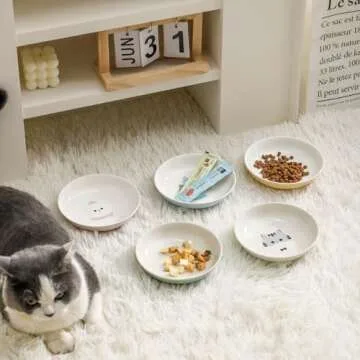 Seyatoo Ceramic Cat Bowls for Whisker Fatigue Relief and Style