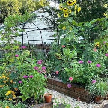 FOLLOOK Garden Arch Trellis for Climbing Plants Outdoor, 7.8 ft Tall PE-Coated Steel Walkway, Arched Arbors Tunnel Trellis for Vegetables, Cucumber Plant Support for Garden Raised Bed with Netting