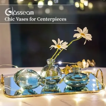 Stylish Glasseam Mini Glass Bud Vase Set for Home Decor