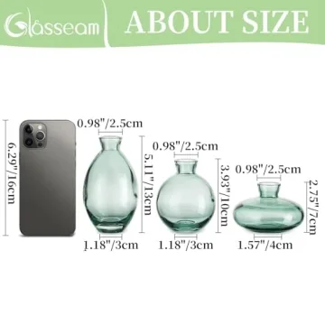 Stylish Glasseam Mini Glass Bud Vase Set for Home Decor