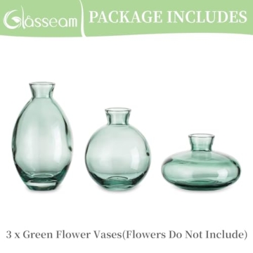 Stylish Glasseam Mini Glass Bud Vase Set for Home Decor