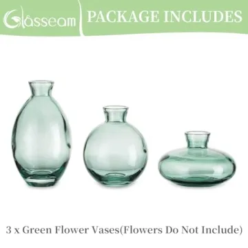 Stylish Glasseam Mini Glass Bud Vase Set for Home Decor