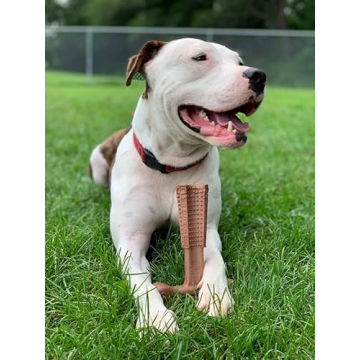 SPOT Bam-Bones Plus T Bone - Bamboo Fiber & Nylon, Durable Long Lasting Dog Chew for Aggressive Chewers – Great Toy for Adult Dogs & Teething Puppies Under 90lbs, Non-Splintering, 7in, Beef Flavor