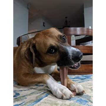 SPOT Bam-Bones Plus T Bone - Bamboo Fiber & Nylon, Durable Long Lasting Dog Chew for Aggressive Chewers – Great Toy for Adult Dogs & Teething Puppies Under 90lbs, Non-Splintering, 7in, Beef Flavor