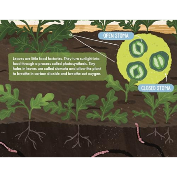 The Soil in Jackie's Garden - A Fun Learning Adventure