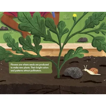 The Soil in Jackie's Garden - A Fun Learning Adventure