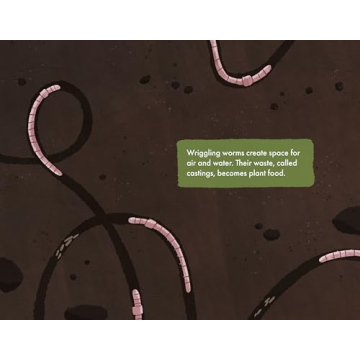 The Soil in Jackie's Garden - A Fun Learning Adventure