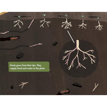 The Soil in Jackie's Garden - A Fun Learning Adventure