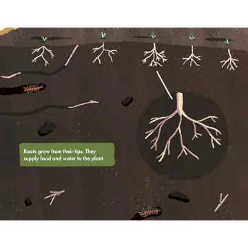 The Soil in Jackie's Garden - A Fun Learning Adventure