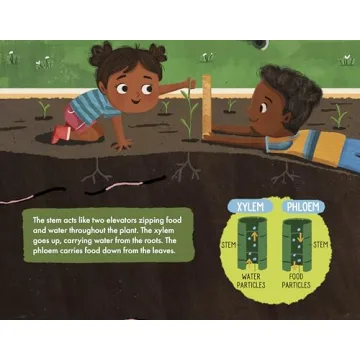 The Soil in Jackie's Garden - A Fun Learning Adventure