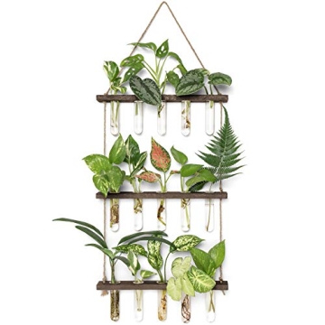 Mkono Plant Propagation Tubes for Elegant Home Decor