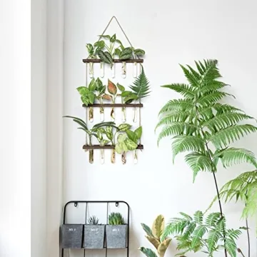 Mkono Plant Propagation Tubes for Elegant Home Decor