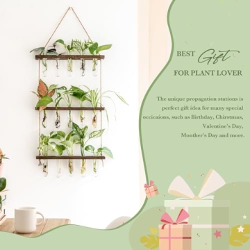 Mkono Plant Propagation Tubes for Elegant Home Decor