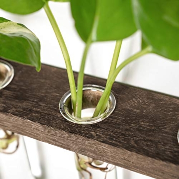 Mkono Plant Propagation Tubes for Elegant Home Decor