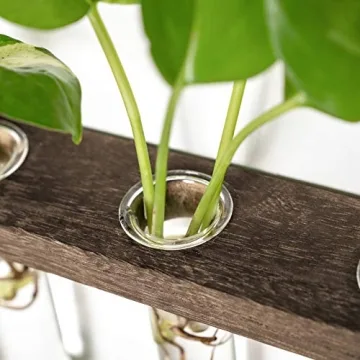 Mkono Plant Propagation Tubes for Elegant Home Decor